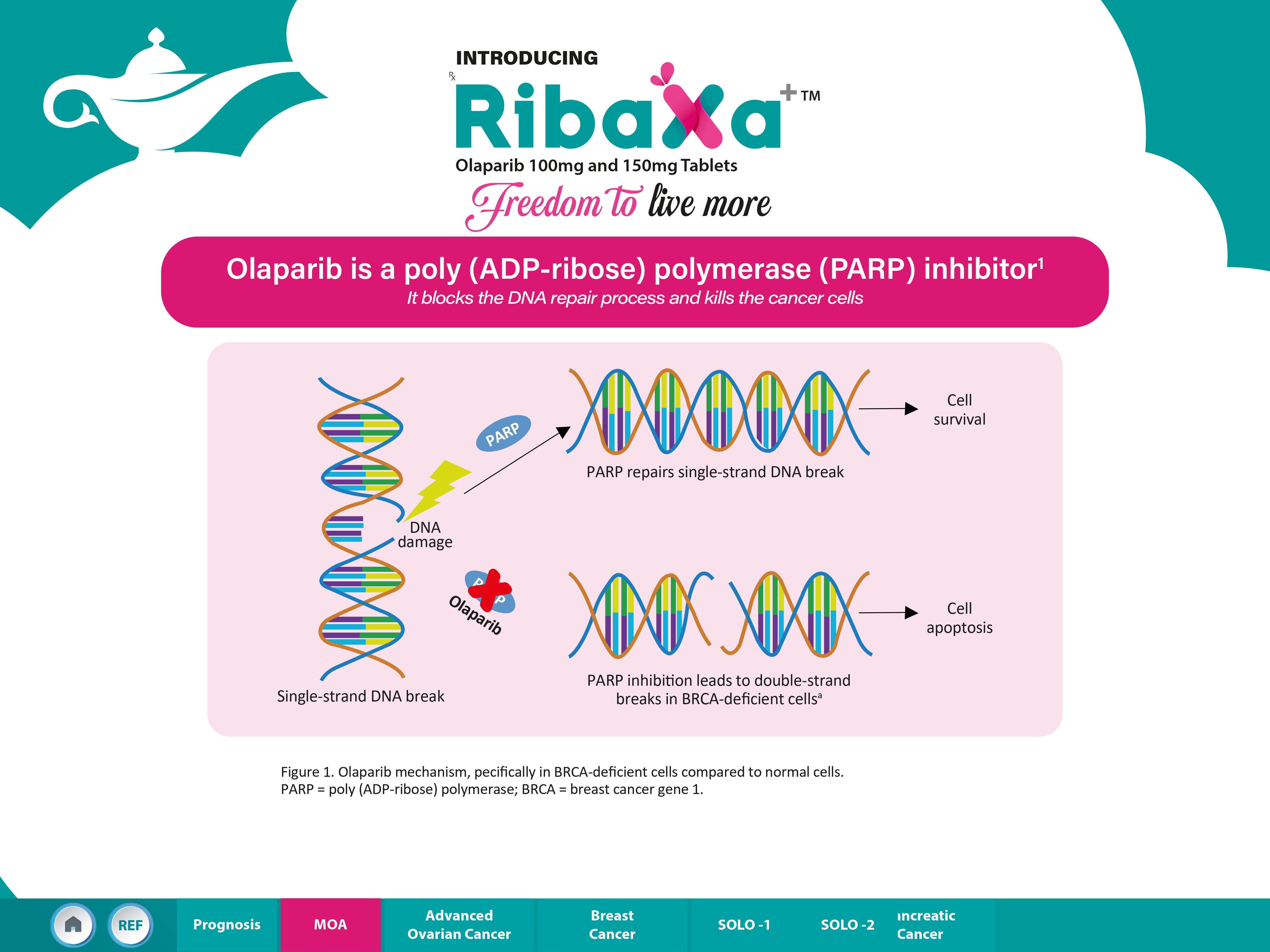 Ribaxa visual aid page 5